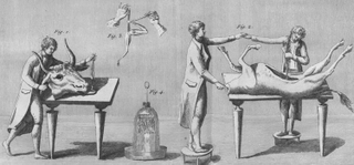 Illustration for article titled La excéntrica vida de Giovanni Aldini: el científico que reanimaba a los muertos e inspiró la historia de Frankenstein